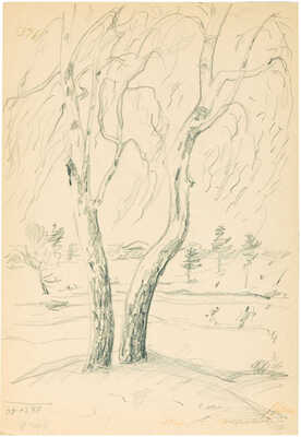 Хряков Александр Фёдорович. Розы (на оборотной стороне карандашный набросок «Суханово»)